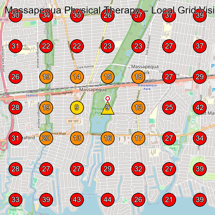 Massapequa Physical Therapy GeoGrid visibility map for Chiropractor in Massapequa